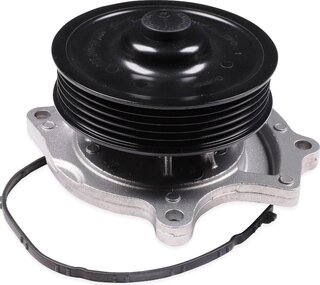 Hepu P1589