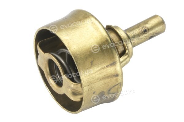 Wahler / BorgWarner 3029.83
