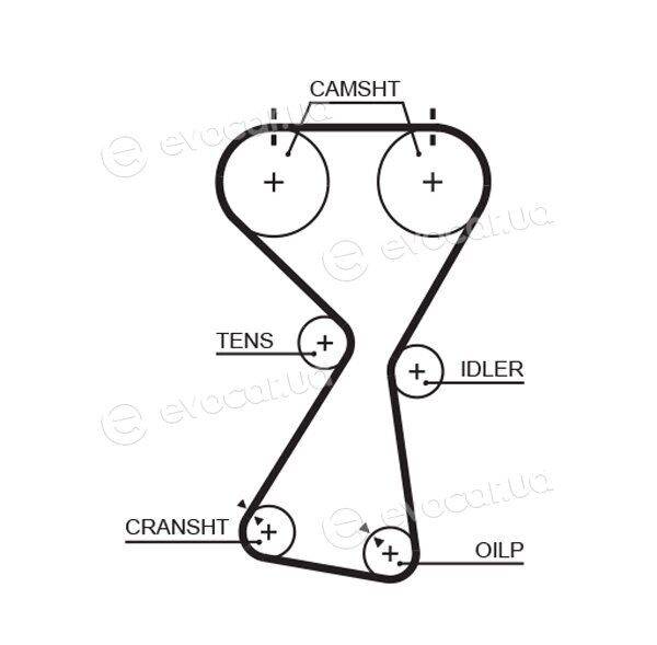 Gates K015534XS