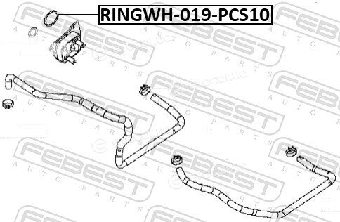 Febest RINGOL-061-PCS10