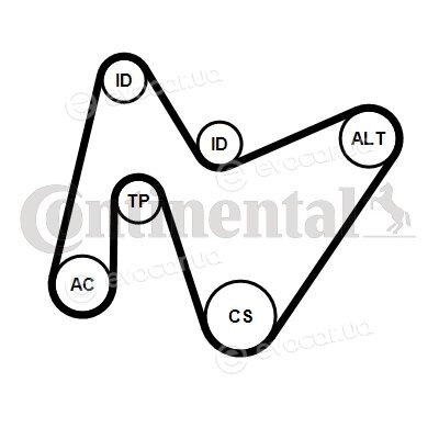 Continental 6PK1642K4