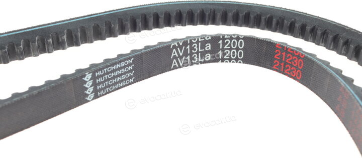 Hutchinson AV 13 La 1200