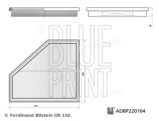 Blue Print ADBP220164