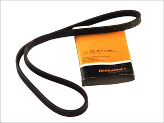 Continental 3PK885 ELAST