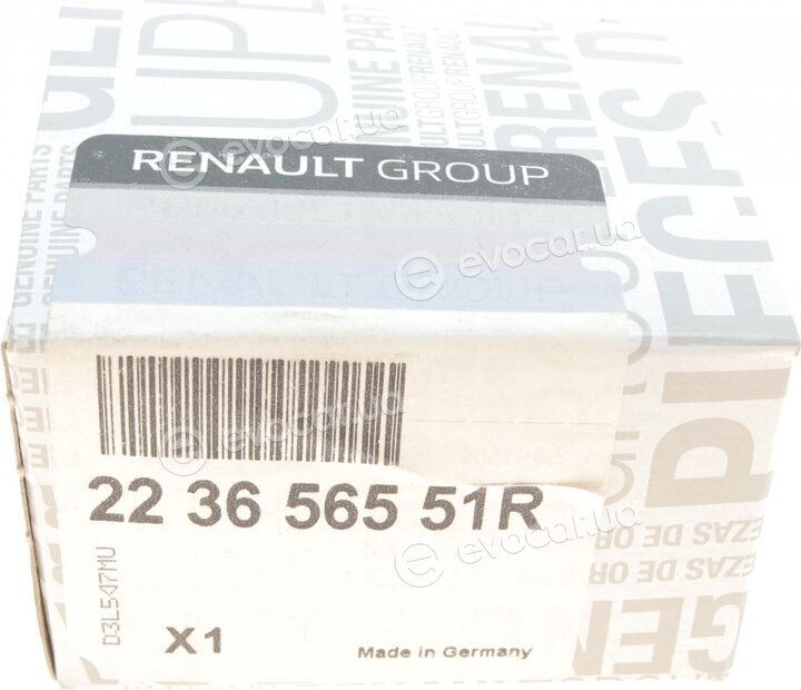 Renault / Nissan 223656551R