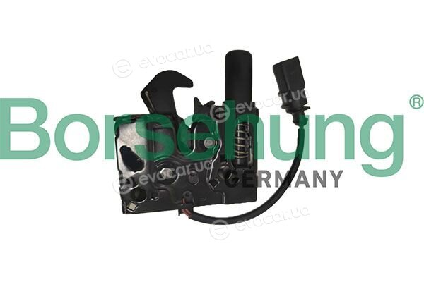 Borsehung B12895