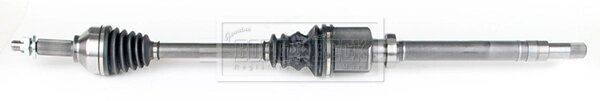 Borg & Beck BDS1001