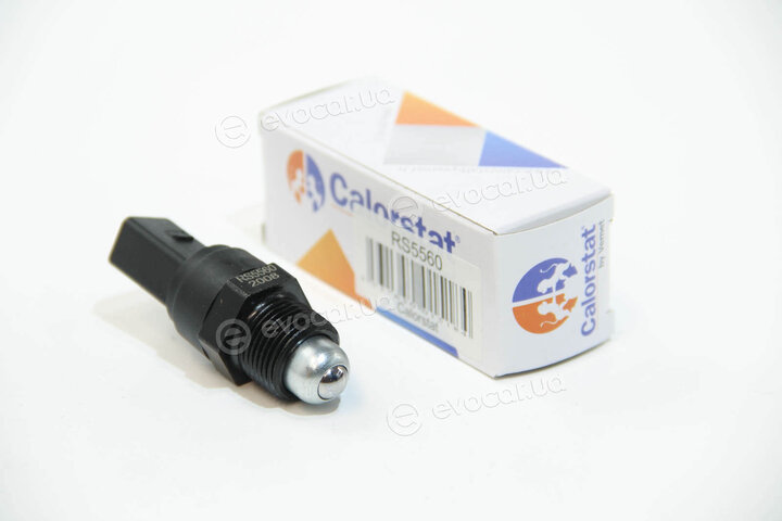 Vernet / Calorstat RS5560