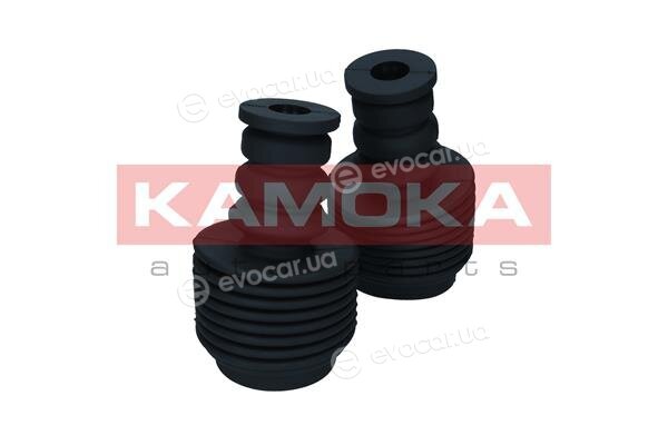 Kamoka 2019236
