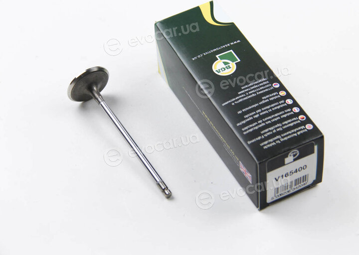 BGA V165400