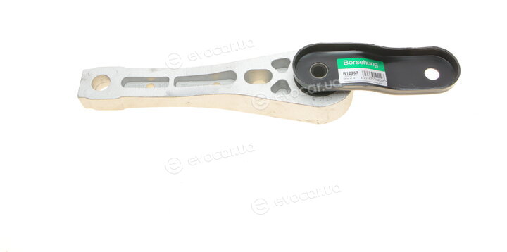 Borsehung B12267