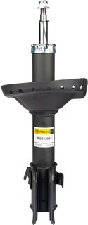 Raiso RS312891