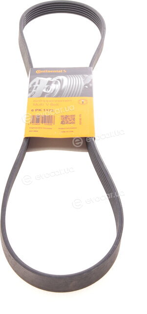 Continental 6PK1173