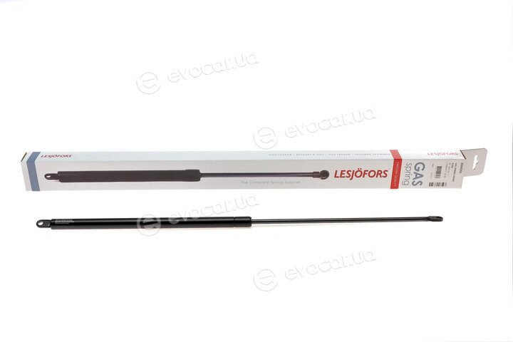 Lesjofors 8004201