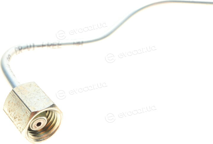 Rotweiss RW07032