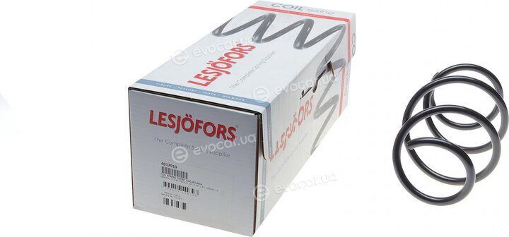 Lesjofors 4017010