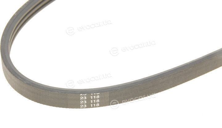 Dayco 3PK668
