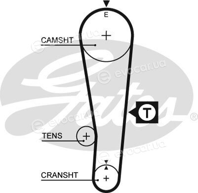 Gates T194