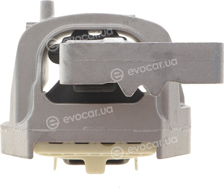 OE Germany 800794