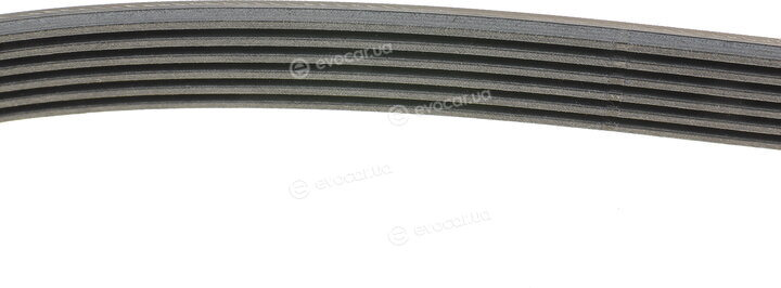 Continental 6PK1000
