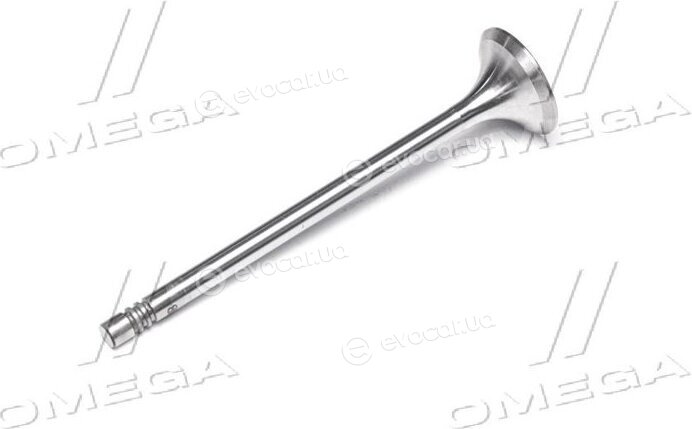 Gunes 4573