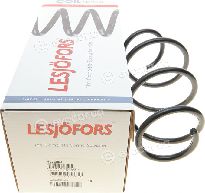 Lesjofors 4073003