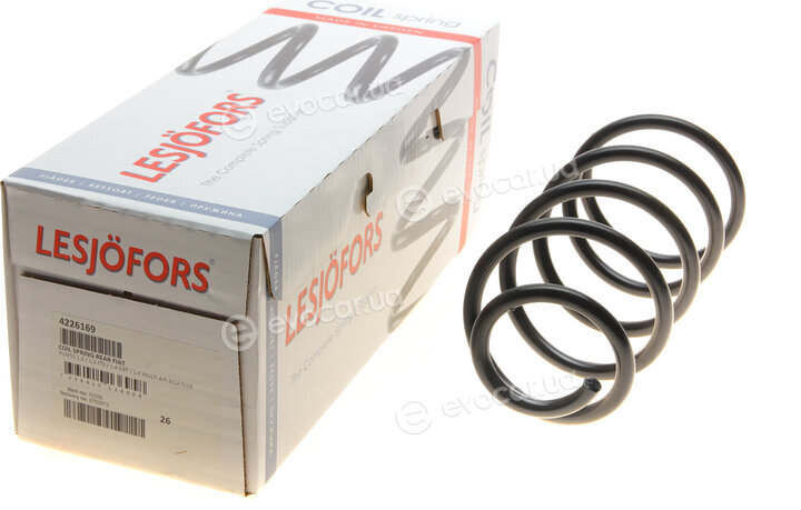 Lesjofors 4226169