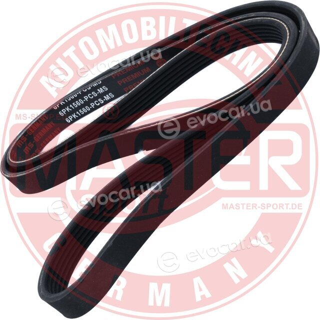 Master Sport 6PK1560-PCS-MS