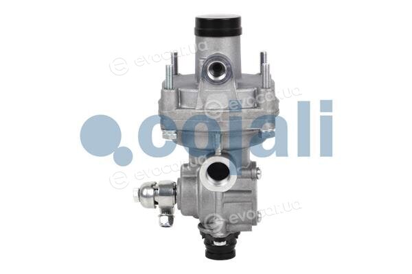 Cojali 2220310