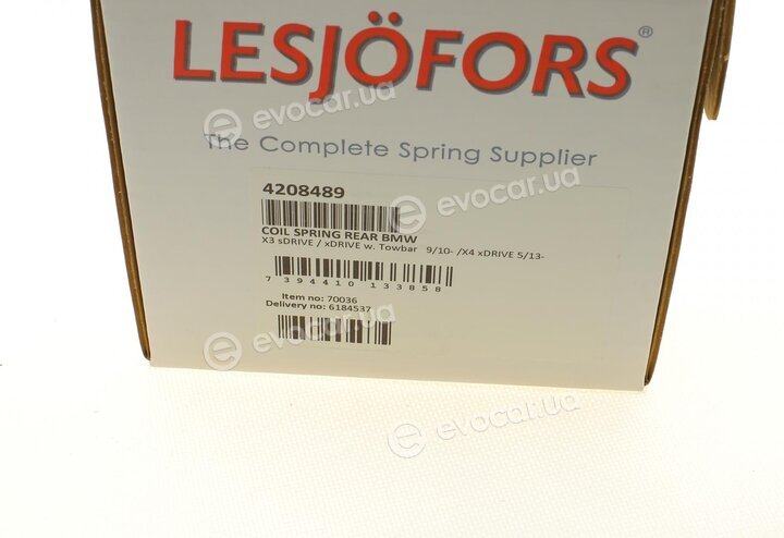 Lesjofors 4208489