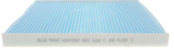 Blue Print ADN12547