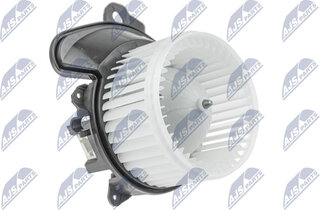 NTY EWN-PL-001