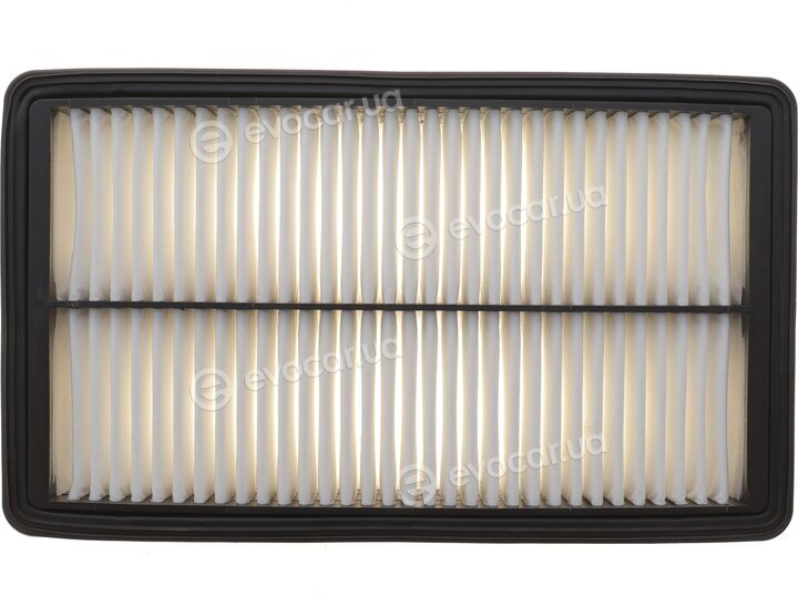 Solgy 103197