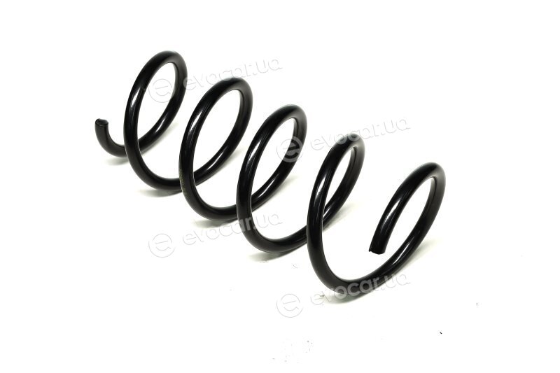 Lesjofors 4017007