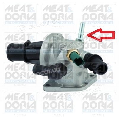 Meat & Doria 92497