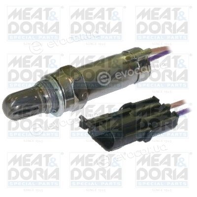 Meat & Doria 81522