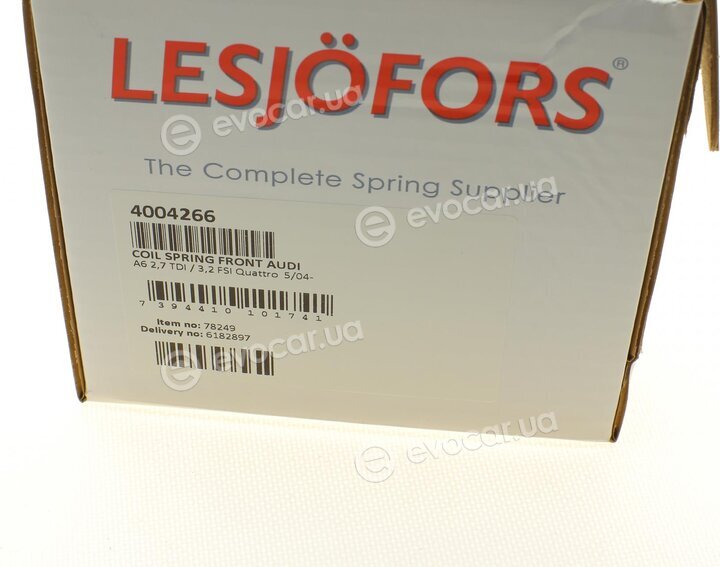 Lesjofors 4004266