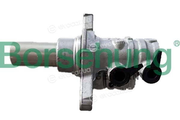 Borsehung B12539