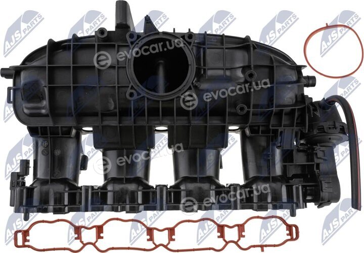 NTY BKS-VW-034