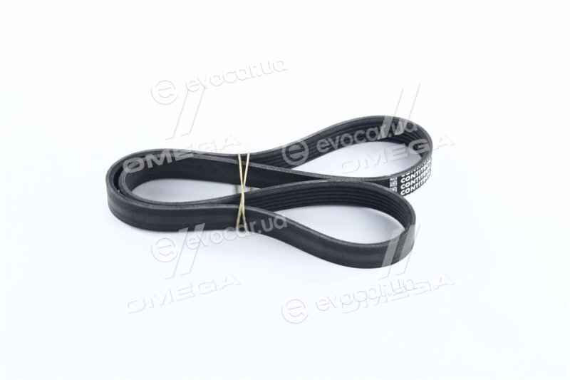 Continental 6PK1019 ELAST