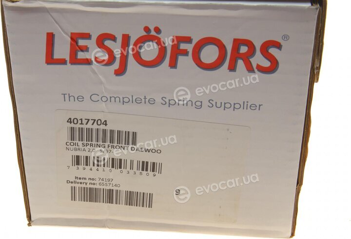 Lesjofors 4017704