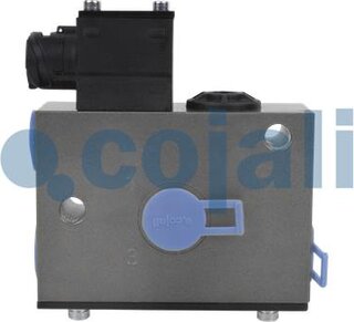 Cojali 2309127
