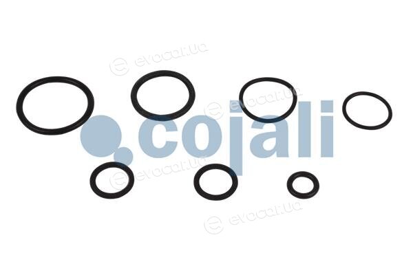 Cojali 6034021