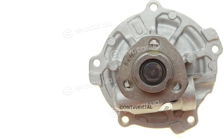 Continental 5PK1592WP1