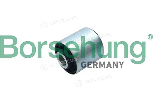 Borsehung B13184