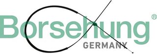 Borsehung B10782