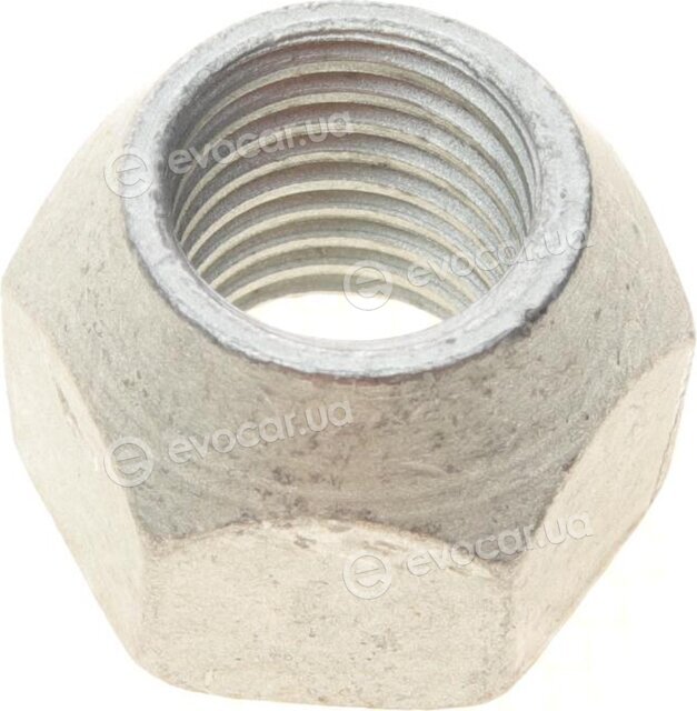 AIC 55617