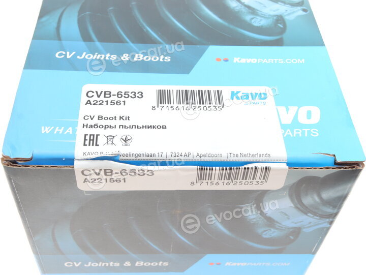 Kavo CVB-6533