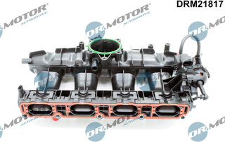 Dr. Motor DRM21817