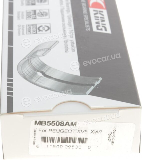 King MB5508AM